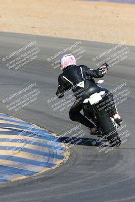 media/Jan-08-2022-SoCal Trackdays (Sat) [[1ec2777125]]/Turn 10 Backside (930am)/